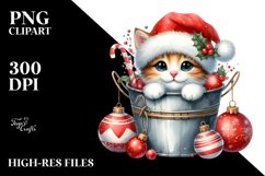 Cute Highland Baby Cat in Bucket, PNG Product Image 2