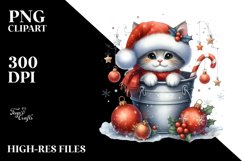 Cute Highland Baby Cat in Bucket, PNG Product Image 2