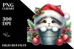 Cute Highland Baby Cat in Bucket, PNG Product Image 2
