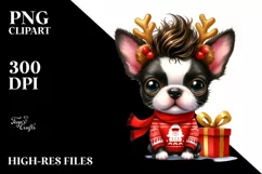 Expressive Baby Winter Boston Terrier PNG Product Image 1