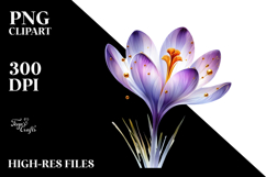 Crocus with Golden Insertions PNG Product Image 2