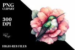 Colorful Sleeping Hummingbird in Flower | Clipart Product Image 1
