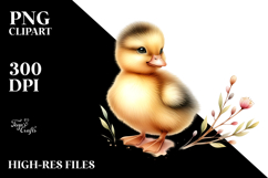 Cute Baby Duck Product Image 2