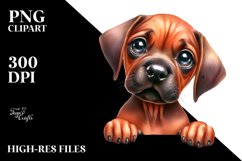 Sublimation|Clipart Product Image 1