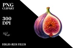 Colorful Fig | Sublimation Clipart Product Image 3