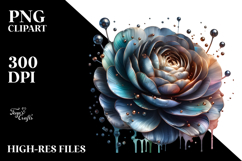 Glossy Ranunculus, PNG Product Image 2