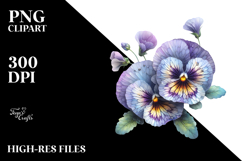 Pansy PNG Product Image 2