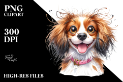 Cute Brittany with Big Eyes PNG Product Image 2