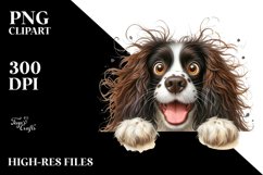 Crazy Looking Funny English Springer Spaniel Clipart Product Image 3