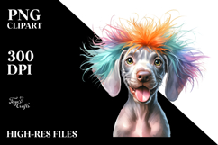 Crazy Haircut Weimaraner, Transparent PNG Product Image 2