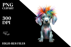 Expressive Baby Weimaraner with Crazy Haircut, Transparent Product Image 2