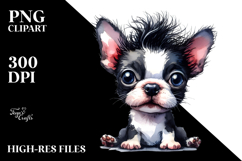 Expressive Boston Terrier, PNG Product Image 2