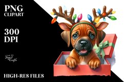 Expressive Baby Rhodesian Ridgeback, High-Res PNG Product Image 3