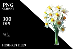 Narcissus, Colorful PNG Product Image 2