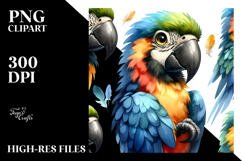 Cute Standing Macaw Watercolor | Clipart Product Image 2