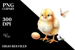 Cute Baby Chicken, Transparent PNG Product Image 2