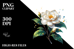 Gardenia PNG Product Image 2