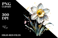 Golden Daffodil with Details, PNG Product Image 2