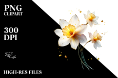 Daffodil with Gold Insertions, PNG Product Image 2