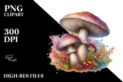 Detailed Mushroom PNG Product Image 2