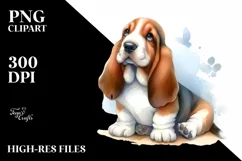 Cute Basset Hound, Transparent PNG Product Image 1