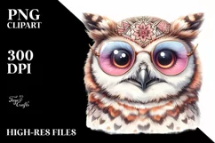 Cute Owl Portrait in Detailed Watercolor | Funny Clipart Product Image 1