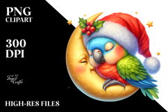 Boho Baby Parrot Sleeping on the Moon PNG Product Image 2