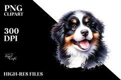 Baby Bernese Mountain Dog, Transparent PNG Product Image 2