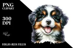 Happy Bernese Mountain Dog PNG Product Image 2