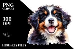 Baby Bernese Mountain Dog, Transparent PNG Product Image 2