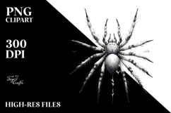 Washed Simple Spider PNG Product Image 2