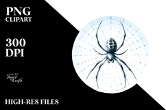 Washed Simple Spider PNG Product Image 2