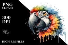 Sublimation|Clipart Product Image 3