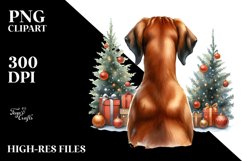Cute Rhodesian Ridgeback with Christmass Decorations PNG Product Image 3