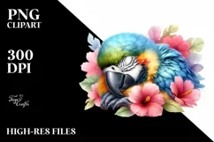 Colorful Baby Macaw Sleeping in Flower | Summer Clipart Product Image 3