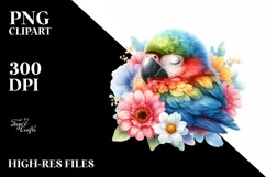 Colorful Baby Macaw Sleeping in Flower | Summer Clipart Product Image 1