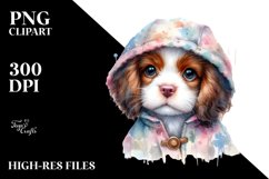 Expressive Baby Brittany in Raincoat, PNG Product Image 3