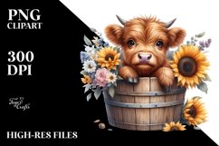 Cute Baby Highland Cow with Sunflower PNG Product Image 1