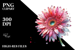 splash of watercolor in background,Gerbera Made of PNG Product Image 2