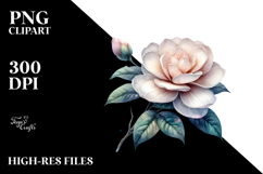 Gardenia Material PNG Product Image 2