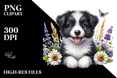 Watercolor Baby Border Collie with Big Eyes PNG Product Image 2