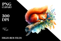 Squirrel Sleeping PNG Product Image 2