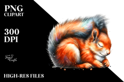 Squirrel Sleeping PNG Product Image 2
