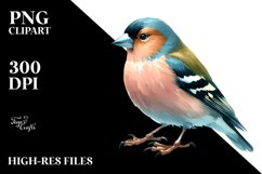 Simple Finch Watercolor Clipart Product Image 3