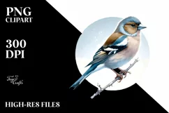 Simple Finch Watercolor Clipart Product Image 3