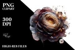 Glossy Ranunculus with Golden Insertions PNG Product Image 2