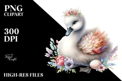 Cute Baby Swan PNG Product Image 2