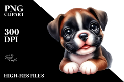 Baby Boxer, Watercolor PNG Product Image 2