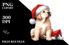 Christmas Cat with Santa Hat, PNG Product Image 2