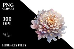 Shiny Chrysanthemum Golden | Clipart Product Image 1